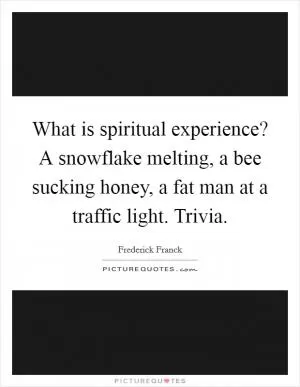 What is spiritual experience? A snowflake melting, a bee sucking honey, a fat man at a traffic light. Trivia Picture Quote #1