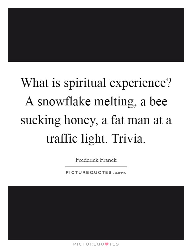 What is spiritual experience? A snowflake melting, a bee sucking honey, a fat man at a traffic light. Trivia. Picture Quote #1