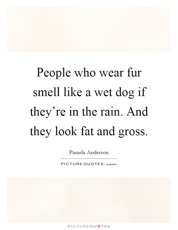 People who wear fur smell like a wet dog if they're in the rain. And they look fat and gross. Picture Quote #1