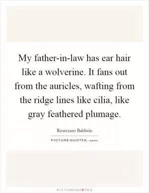 My father-in-law has ear hair like a wolverine. It fans out from the auricles, wafting from the ridge lines like cilia, like gray feathered plumage Picture Quote #1