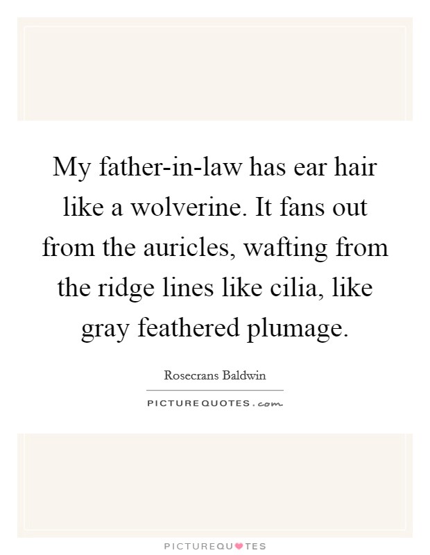 My father-in-law has ear hair like a wolverine. It fans out from the auricles, wafting from the ridge lines like cilia, like gray feathered plumage. Picture Quote #1