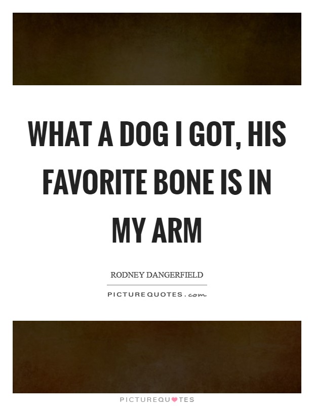 What a dog I got, his favorite bone is in my arm Picture Quote #1