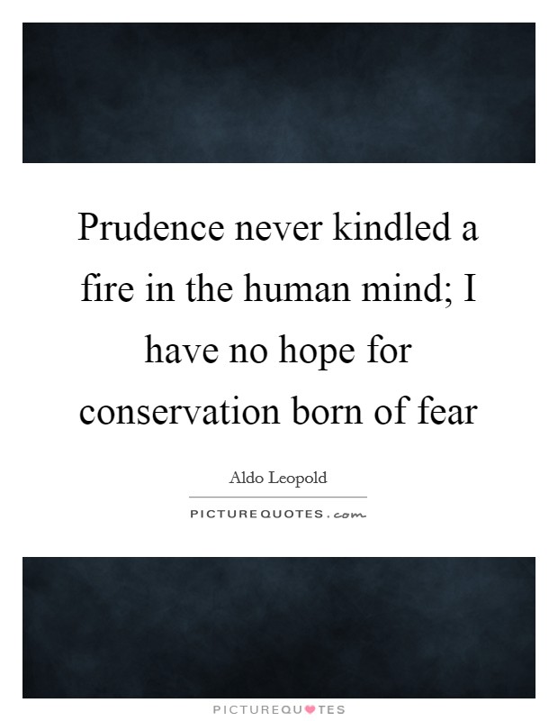 Prudence never kindled a fire in the human mind; I have no hope for conservation born of fear Picture Quote #1