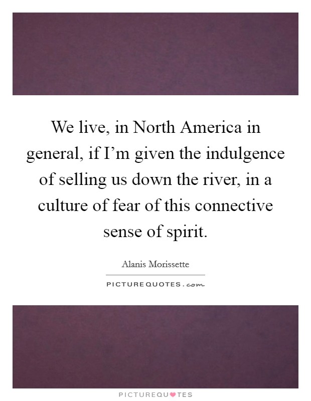We live, in North America in general, if I'm given the indulgence of selling us down the river, in a culture of fear of this connective sense of spirit. Picture Quote #1