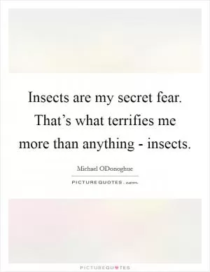 Insects are my secret fear. That’s what terrifies me more than anything - insects Picture Quote #1
