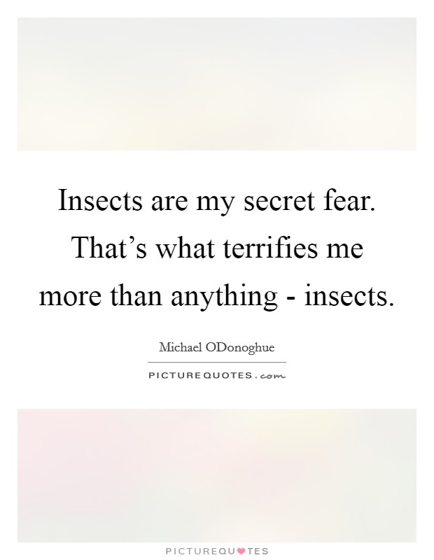 Insects are my secret fear. That's what terrifies me more than anything - insects. Picture Quote #1