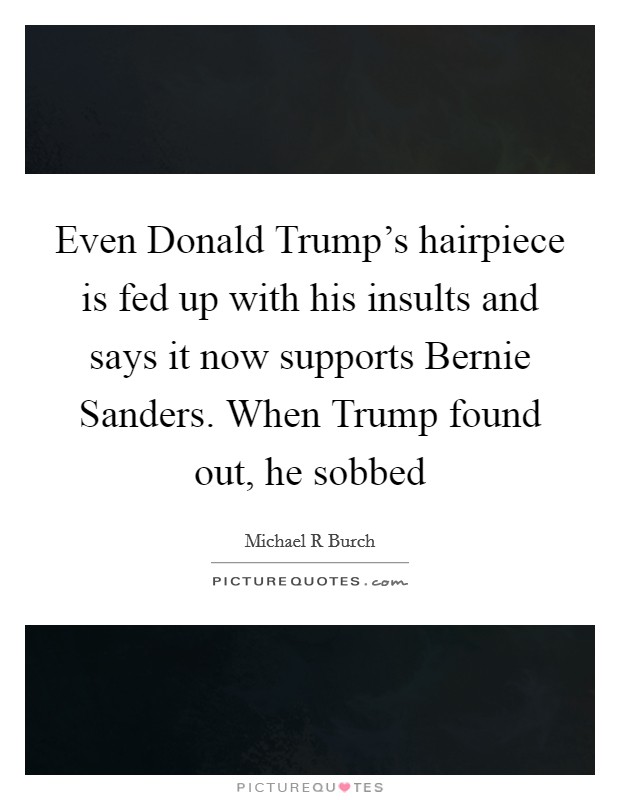 Even Donald Trump's hairpiece is fed up with his insults and says it now supports Bernie Sanders. When Trump found out, he sobbed Picture Quote #1