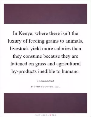 In Kenya, where there isn’t the luxury of feeding grains to animals, livestock yield more calories than they consume because they are fattened on grass and agricultural by-products inedible to humans Picture Quote #1