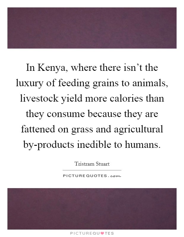 In Kenya, where there isn't the luxury of feeding grains to animals, livestock yield more calories than they consume because they are fattened on grass and agricultural by-products inedible to humans. Picture Quote #1