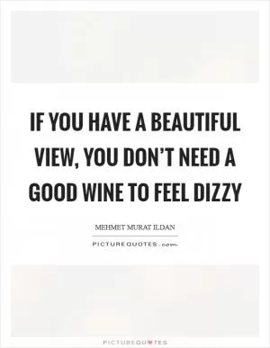 If you have a beautiful view, you don’t need a good wine to feel dizzy Picture Quote #1