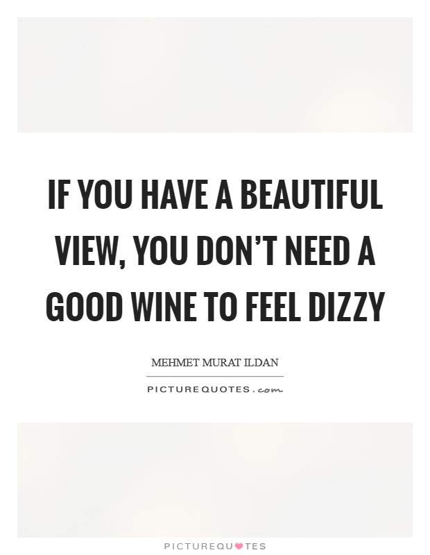 If you have a beautiful view, you don't need a good wine to feel dizzy Picture Quote #1