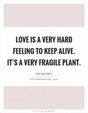 Love is a very hard feeling to keep alive. It’s a very fragile plant Picture Quote #1