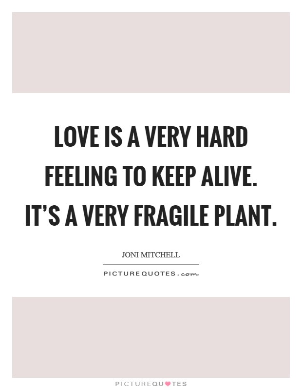 Love is a very hard feeling to keep alive. It's a very fragile plant. Picture Quote #1