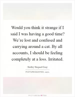 Would you think it strange if I said I was having a good time? We’re lost and confused and carrying around a cat. By all accounts, I should be feeling completely at a loss. Irritated Picture Quote #1
