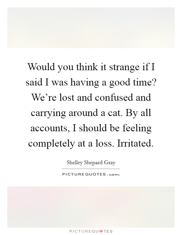 Would you think it strange if I said I was having a good time? We're lost and confused and carrying around a cat. By all accounts, I should be feeling completely at a loss. Irritated. Picture Quote #1