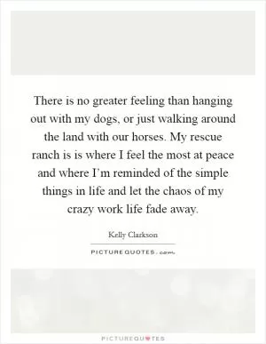 There is no greater feeling than hanging out with my dogs, or just walking around the land with our horses. My rescue ranch is is where I feel the most at peace and where I’m reminded of the simple things in life and let the chaos of my crazy work life fade away Picture Quote #1