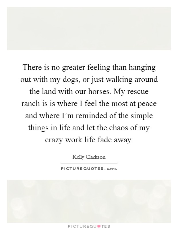 There is no greater feeling than hanging out with my dogs, or just walking around the land with our horses. My rescue ranch is is where I feel the most at peace and where I'm reminded of the simple things in life and let the chaos of my crazy work life fade away. Picture Quote #1