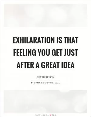 Exhilaration is that feeling you get just after a great idea Picture Quote #1
