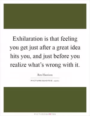 Exhilaration is that feeling you get just after a great idea hits you, and just before you realize what’s wrong with it Picture Quote #1