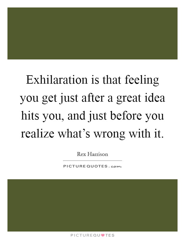 Exhilaration is that feeling you get just after a great idea hits you, and just before you realize what's wrong with it. Picture Quote #1