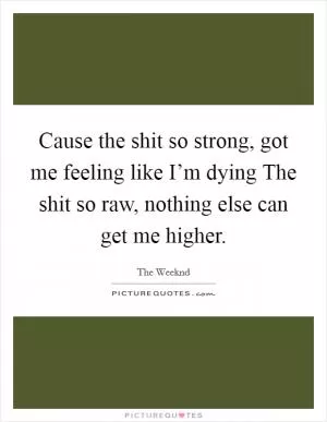 Cause the shit so strong, got me feeling like I’m dying The shit so raw, nothing else can get me higher Picture Quote #1