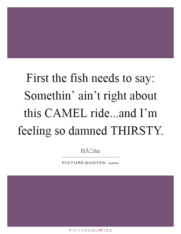 First the fish needs to say: Somethin' ain't right about this CAMEL ride...and I'm feeling so damned THIRSTY. Picture Quote #1