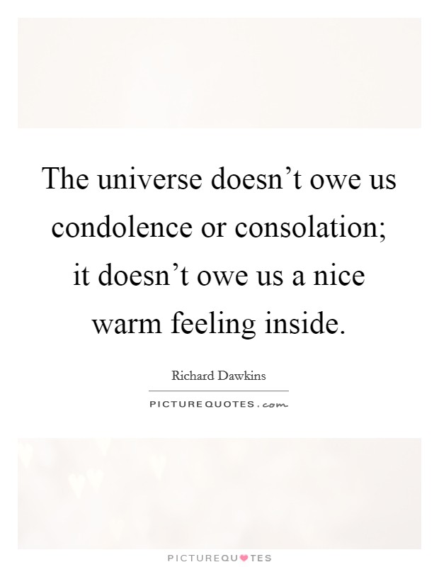 The universe doesn't owe us condolence or consolation; it doesn't owe us a nice warm feeling inside. Picture Quote #1