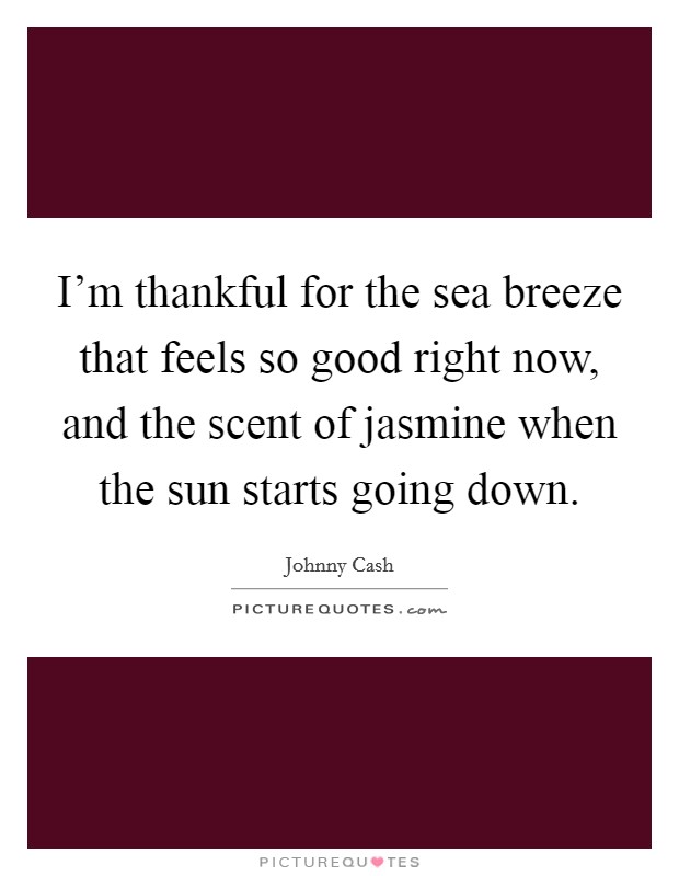 I'm thankful for the sea breeze that feels so good right now, and the scent of jasmine when the sun starts going down. Picture Quote #1