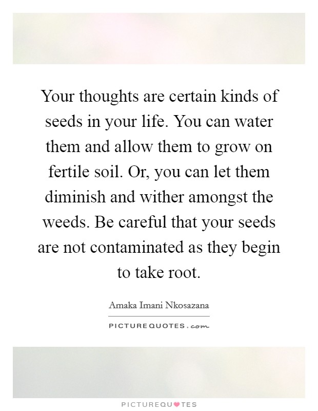 Your thoughts are certain kinds of seeds in your life. You can water them and allow them to grow on fertile soil. Or, you can let them diminish and wither amongst the weeds. Be careful that your seeds are not contaminated as they begin to take root. Picture Quote #1