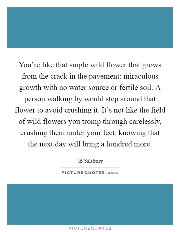 You're like that single wild flower that grows from the crack in the pavement: miraculous growth with no water source or fertile soil. A person walking by would step around that flower to avoid crushing it. It's not like the field of wild flowers you tromp through carelessly, crushing them under your feet, knowing that the next day will bring a hundred more. Picture Quote #1