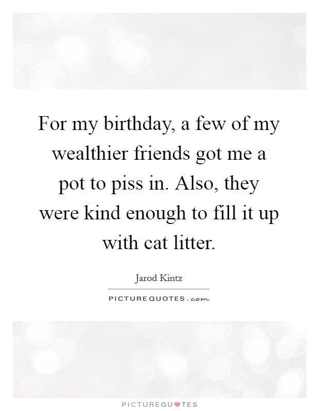 For my birthday, a few of my wealthier friends got me a pot to piss in. Also, they were kind enough to fill it up with cat litter. Picture Quote #1