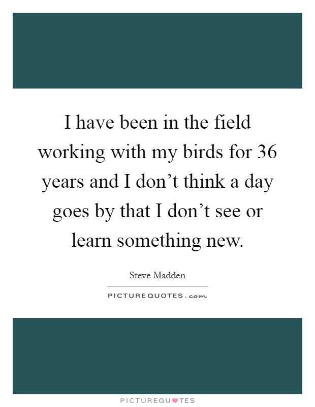 I have been in the field working with my birds for 36 years and I don't think a day goes by that I don't see or learn something new. Picture Quote #1