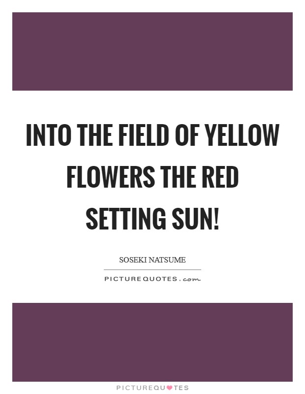 Into the field of Yellow flowers The red setting sun! Picture Quote #1