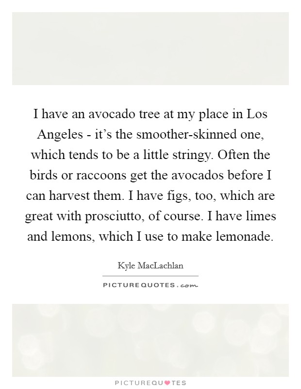 I have an avocado tree at my place in Los Angeles - it's the smoother-skinned one, which tends to be a little stringy. Often the birds or raccoons get the avocados before I can harvest them. I have figs, too, which are great with prosciutto, of course. I have limes and lemons, which I use to make lemonade. Picture Quote #1
