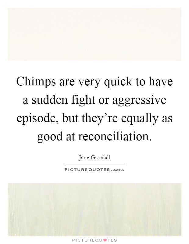 Chimps are very quick to have a sudden fight or aggressive episode, but they're equally as good at reconciliation. Picture Quote #1