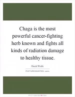 Chaga is the most powerful cancer-fighting herb known and fights all kinds of radiation damage to healthy tissue Picture Quote #1