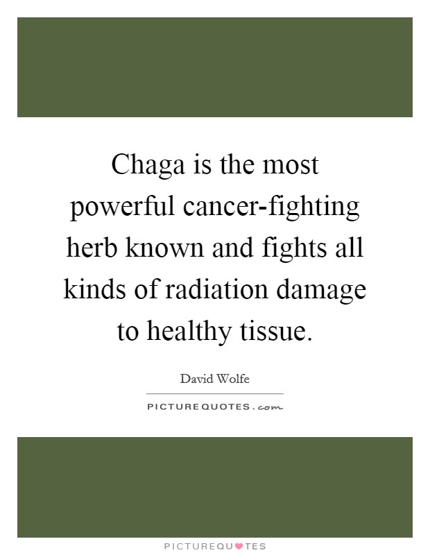 Chaga is the most powerful cancer-fighting herb known and fights all kinds of radiation damage to healthy tissue. Picture Quote #1