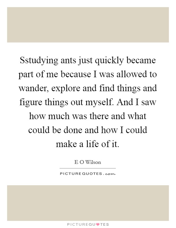Sstudying ants just quickly became part of me because I was allowed to wander, explore and find things and figure things out myself. And I saw how much was there and what could be done and how I could make a life of it. Picture Quote #1