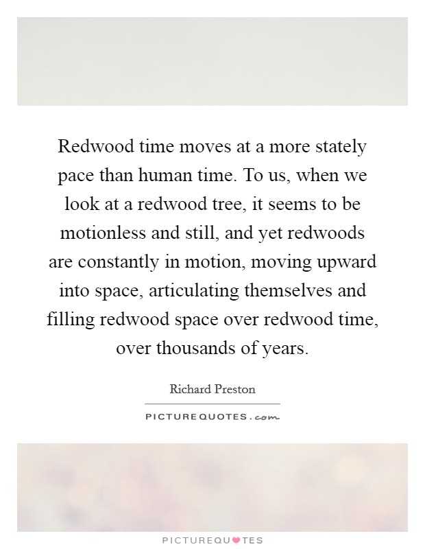 Redwood time moves at a more stately pace than human time. To us, when we look at a redwood tree, it seems to be motionless and still, and yet redwoods are constantly in motion, moving upward into space, articulating themselves and filling redwood space over redwood time, over thousands of years. Picture Quote #1