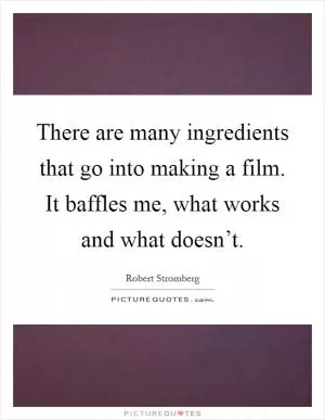 There are many ingredients that go into making a film. It baffles me, what works and what doesn’t Picture Quote #1