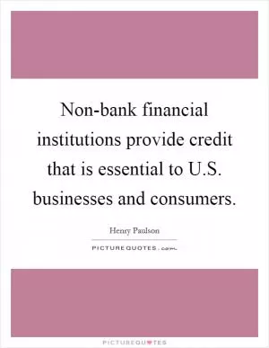 Non-bank financial institutions provide credit that is essential to U.S. businesses and consumers Picture Quote #1