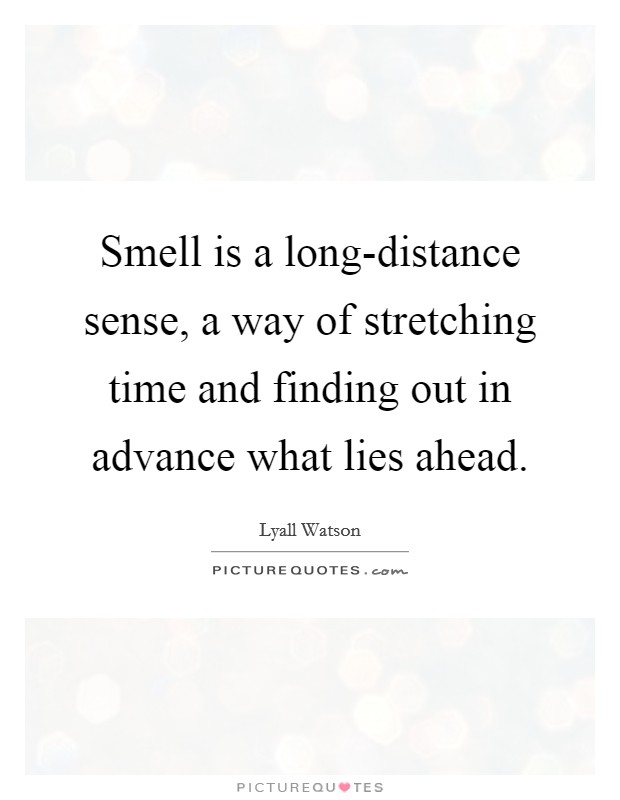 Smell is a long-distance sense, a way of stretching time and finding out in advance what lies ahead. Picture Quote #1