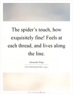 The spider’s touch, how exquisitely fine! Feels at each thread, and lives along the line Picture Quote #1