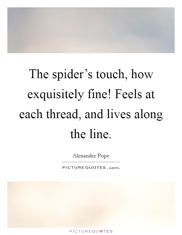 The spider's touch, how exquisitely fine! Feels at each thread, and lives along the line. Picture Quote #1