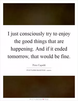 I just consciously try to enjoy the good things that are happening. And if it ended tomorrow, that would be fine Picture Quote #1