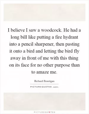I believe I saw a woodcock. He had a long bill like putting a fire hydrant into a pencil sharpener, then pasting it onto a bird and letting the bird fly away in front of me with this thing on its face for no other purpose than to amaze me Picture Quote #1