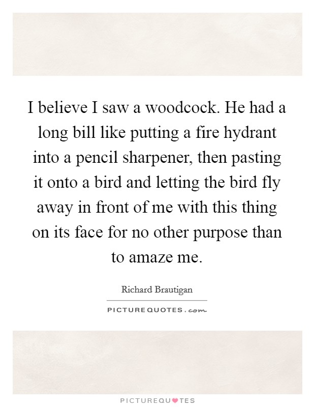 I believe I saw a woodcock. He had a long bill like putting a fire hydrant into a pencil sharpener, then pasting it onto a bird and letting the bird fly away in front of me with this thing on its face for no other purpose than to amaze me. Picture Quote #1