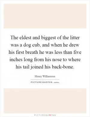 The eldest and biggest of the litter was a dog cub, and when he drew his first breath he was less than five inches long from his nose to where his tail joined his back-bone Picture Quote #1
