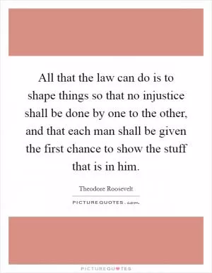 All that the law can do is to shape things so that no injustice shall be done by one to the other, and that each man shall be given the first chance to show the stuff that is in him Picture Quote #1