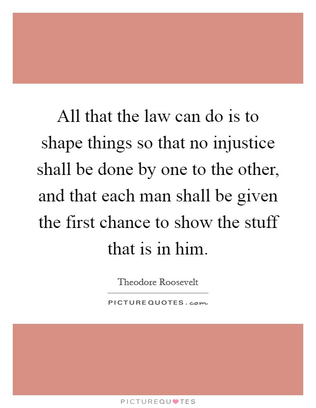All that the law can do is to shape things so that no injustice shall be done by one to the other, and that each man shall be given the first chance to show the stuff that is in him. Picture Quote #1
